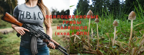 дживик Аркадак