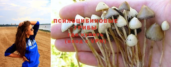 дживик Аркадак