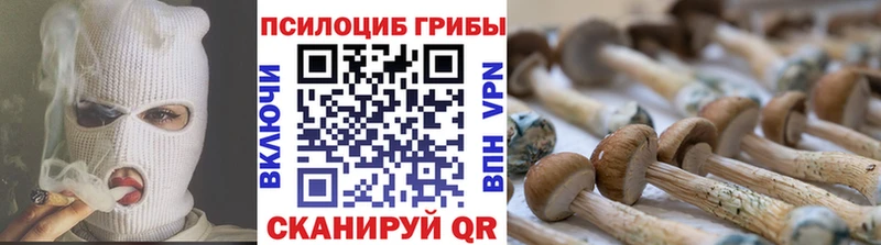 что такое   Лангепас  Псилоцибиновые грибы Magic Shrooms 